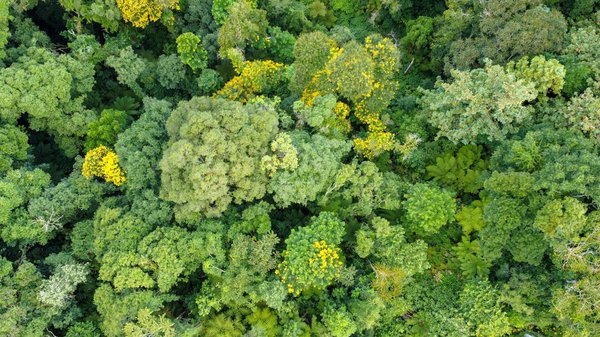 Découvrez les Routes des Vins les Plus Enchanteurs de France